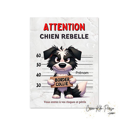 Plaque Border Collie Panneau de portail Attention au chien