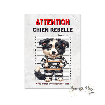 Plaque Border Collie Panneau de portail Attention au chien