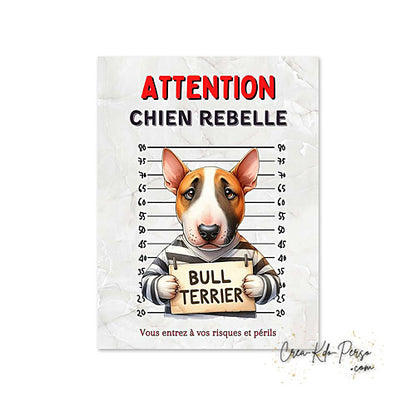 Plaque humour Attention Bull Terrier prisonnier (Modèle1)