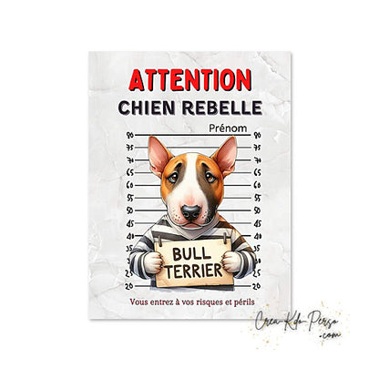 Plaque humour Attention Bull Terrier prisonnier (Modèle1)
