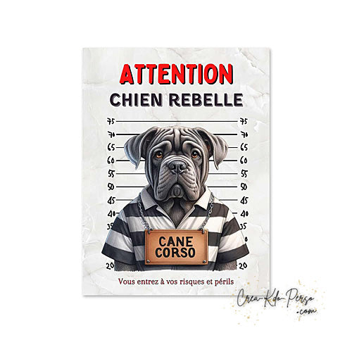 Plaque Cane Corso je monte la garde  panneau de portail Attention au chien