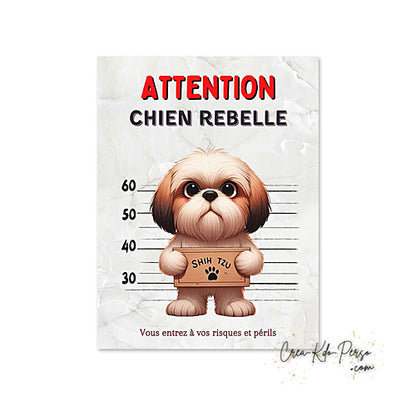 Plaque humour Attention Shih Tzu rebelle prisonnier (Modèle1)