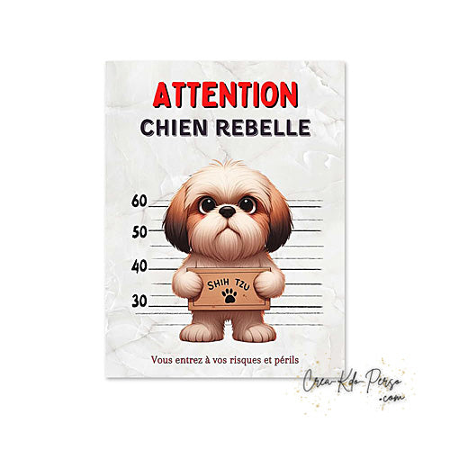 Plaque humour Attention Shih Tzu rebelle prisonnier (Modèle1)