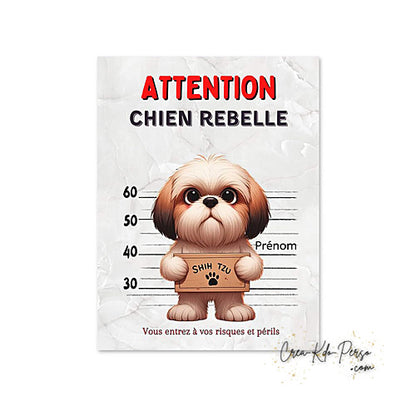 Plaque humour Attention Shih Tzu rebelle prisonnier (Modèle1)