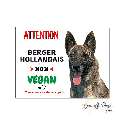 Plaque humour Attention Chien race Berger Hollandais je ne suis pas végan