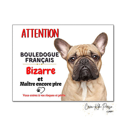 Plaque humour Attention au Chien Bouledogue Français fauve Bizarre