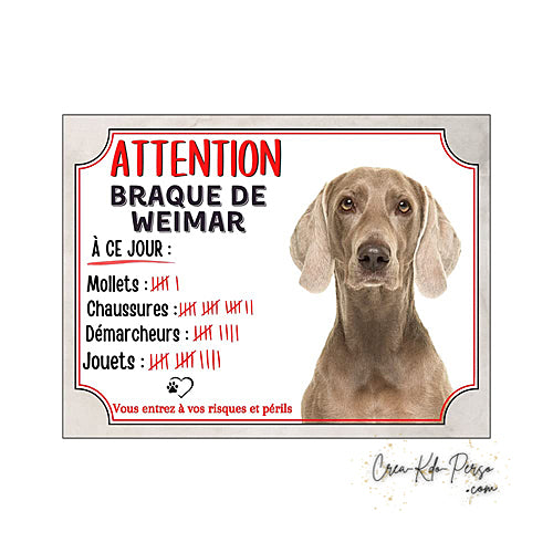 Plaque humour Attention Chien race Braque de Weimar compte ses trophées à ce jour