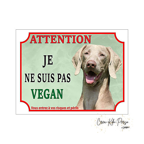 Plaque humour Attention race Chien Braque de Weimar  je ne suis pas végan