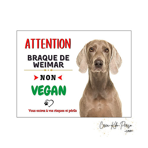 Plaque humour Attention Chien Braque de Weimar  je ne suis pas végan