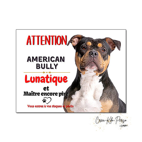 Plaque humour Attention au Chien American Bully lunatique le maître est pire