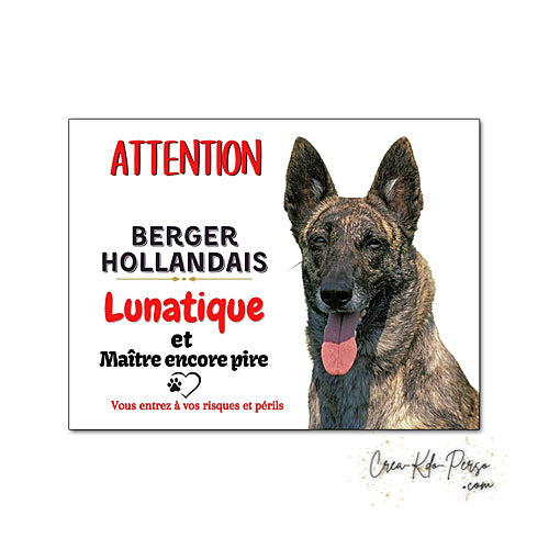 Plaque humour Attention Chien Berger Hollandais lunatique et maitre encore pire