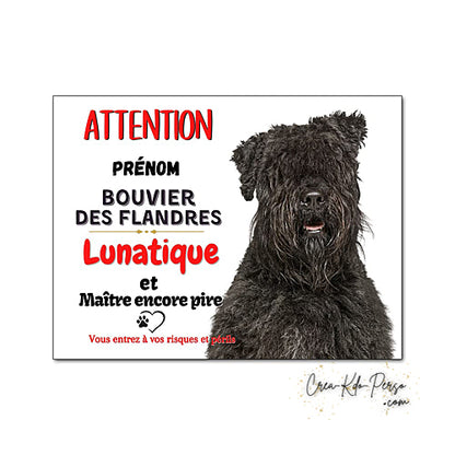 Plaque humour Attention au Chien Bouvier des Flandres lunatique