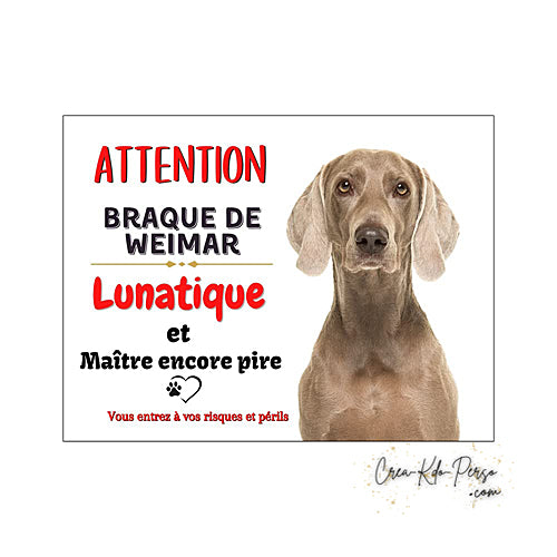 Plaque humour Attention au Chien race Braque de Weimar lunatique