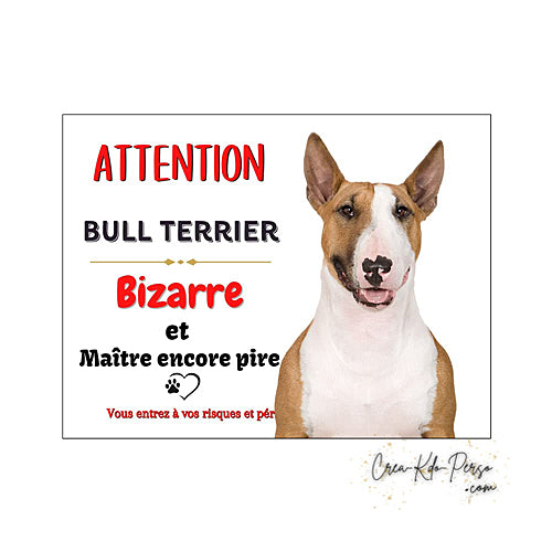 Plaque humour Attention au Chien Bull Terrier bizarre et maitre encore pire