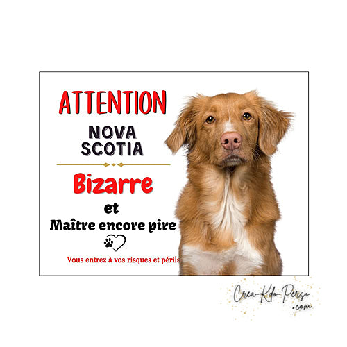 Plaque humour Attention au Chien Nova Scotia Bizarre