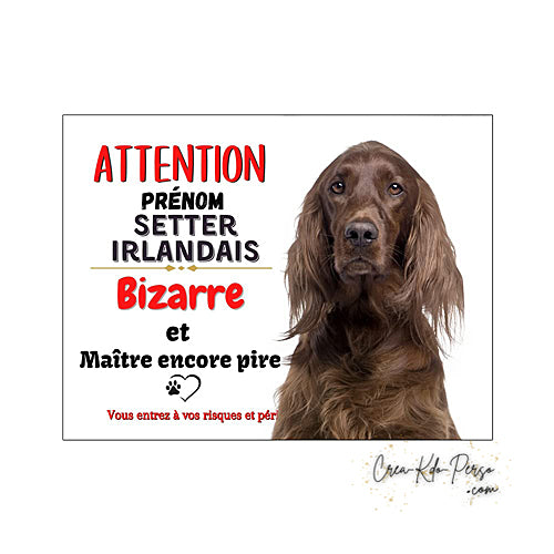 Plaque humour Attention au Chien Setter Irlandais Bizarre