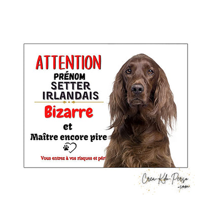 Plaque humour Attention au Chien Setter Irlandais Bizarre