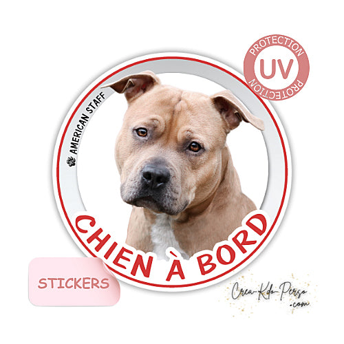 sticker chien à bord autocollant voiture american staff
