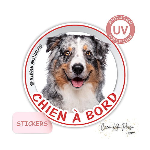 sticker chien à bord autocollant voiture berger australien