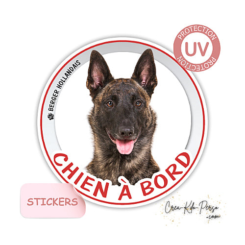 sticker chien à bord autocollant voiture berger hollandais