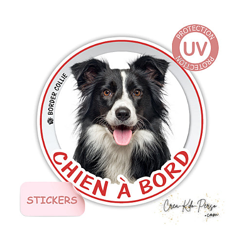 sticker chien à bord autocollant voiture border collie
