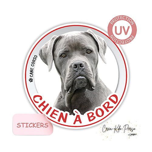 sticker chien à bord autocollant voiture cane corso