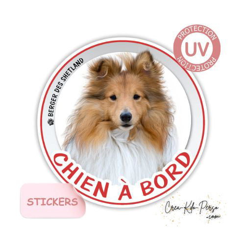 Sticker autocollant de voiture rond Chien à bord Berger des Shetland