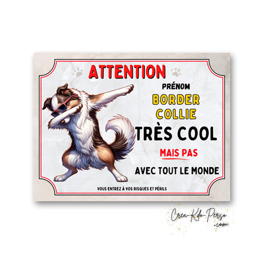 Plaque Border Collie très cool mais pas avec tout le monde panneau humour Attention au Chien