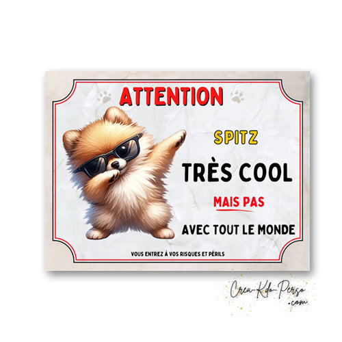 Plaque Spitz très cool mais pas avec tout le monde panneau humour Attention au Chien personnalisé