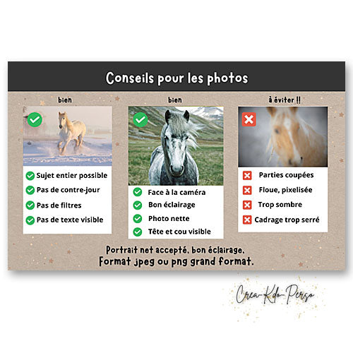 Plaque de box avec photo pour cheval poney écurie personnalisée