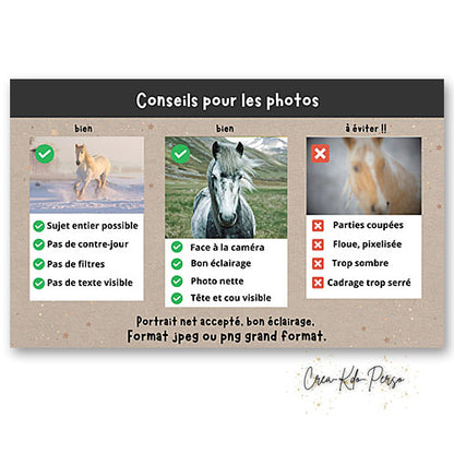 Plaque de box photo pour poney cheval écurie personnalisée