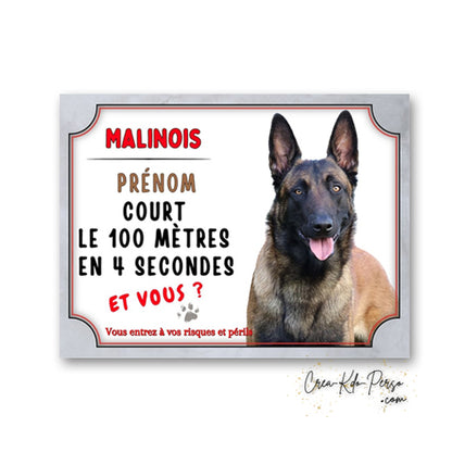 Plaque humoristique en aluminium Attention Malinois Je cours le 100 mètres en 4 secondes et vous, avec portrait de Berger Belge et mention Vous entrez à vos risques et périls.