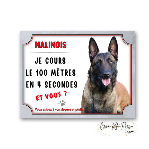 Plaque humoristique en aluminium Attention Malinois Je cours le 100 mètres en 4 secondes et vous, avec portrait de Berger Belge et mention Vous entrez à vos risques et périls.
