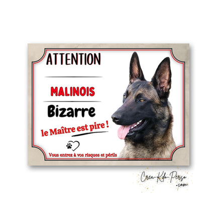 Plaque humoristique de garde pour chien Malinois avec texte ATTENTION Chien Bizarre le Maître est pire et portrait de Berger Belge.