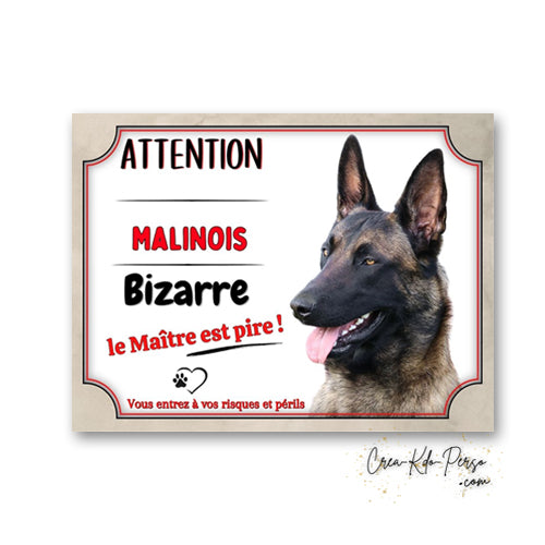 Plaque humoristique de garde pour chien Malinois avec texte ATTENTION Chien Bizarre le Maître est pire et portrait de Berger Belge.
