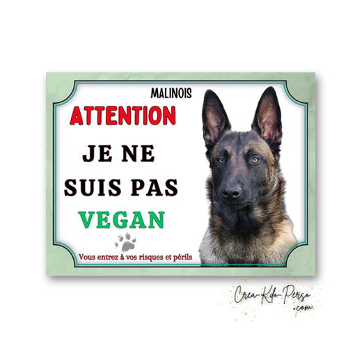 Plaque humoristique Attention Malinois Je ne suis pas vegan avec la mention Vous entrez à vos risques et périls et portrait de Berger Belge.