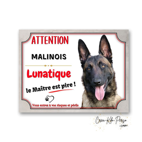 Plaque humoristique Attention Malinois Lunatique le Maître est pire avec portrait de Berger Belge souriant.