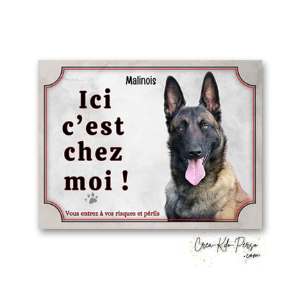Plaque en aluminium Attention Malinois avec inscription Ici c'est chez moi, petit logo d'empreinte, portrait de Berger Belge et avertissement Vous entrez à vos risques et périls.