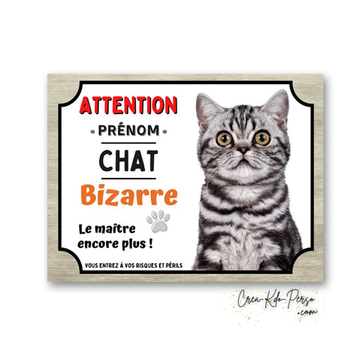 Plaque humoristique en aluminium avec chat British Shorthair silver tabby et texte Attention Chat Bizarre