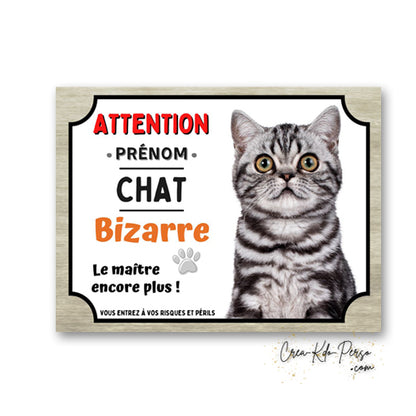 Plaque humoristique en aluminium avec chat British Shorthair silver tabby et texte Attention Chat Bizarre