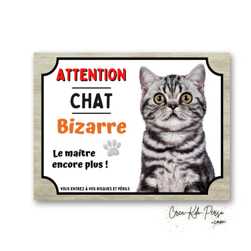 Plaque humoristique en aluminium avec chat British Shorthair silver tabby et texte Attention Chat Bizarre