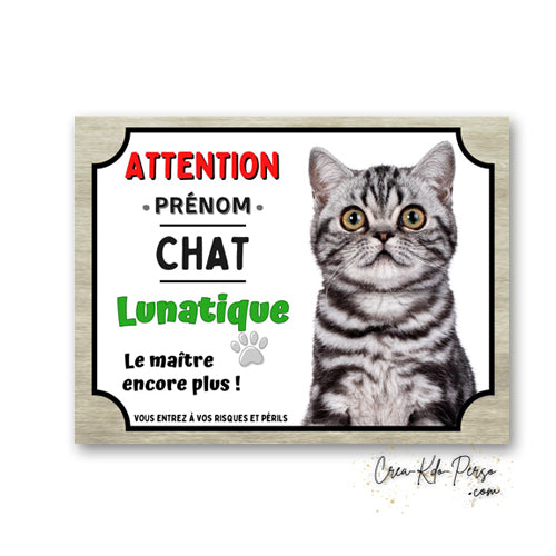 Plaque humoristique en aluminium avec chat British Shorthair silver tabby et texte Attention Chat Lunatique