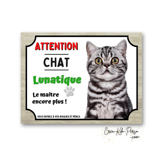Plaque humoristique en aluminium avec chat British Shorthair silver tabby et texte Attention Chat Lunatique