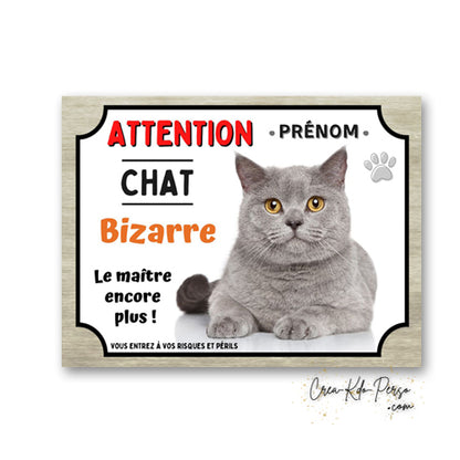Plaque humoristique en aluminium avec chat gris aux yeux dore et texte Attention Chat Bizarre