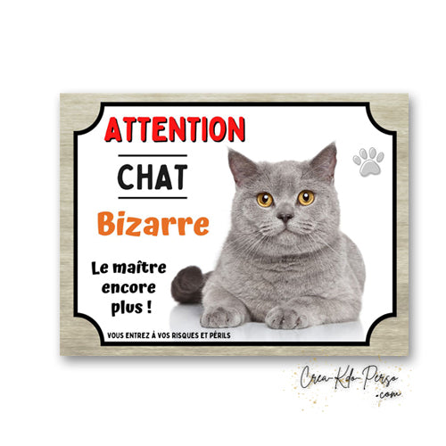 Plaque humoristique en aluminium avec chat gris aux yeux dore et texte Attention Chat Bizarre