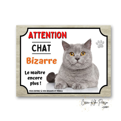 Plaque humoristique en aluminium avec chat gris aux yeux dore et texte Attention Chat Bizarre