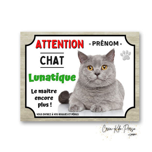 Plaque humoristique en aluminium avec chat gris aux yeux dore et texte Attention Chat Lunatique