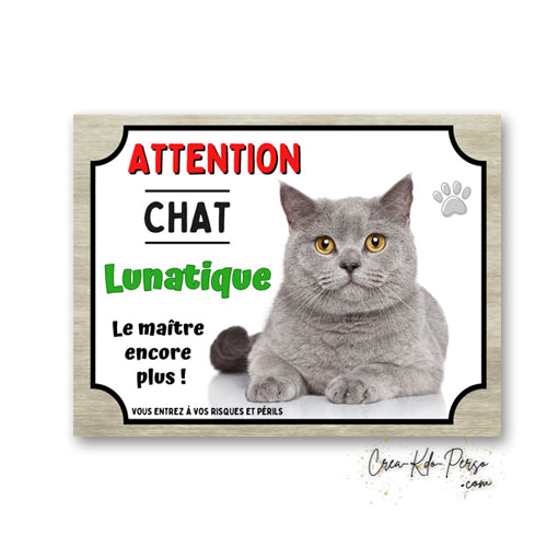 Plaque humoristique en aluminium avec chat gris aux yeux dore et texte Attention Chat Lunatique