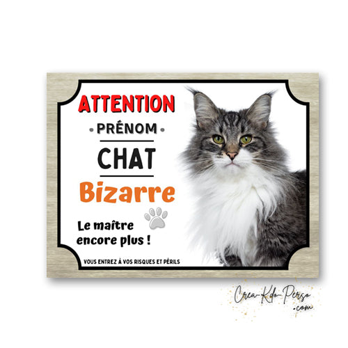 Plaque humoristique en aluminium avec chat Maine Coon tigré et blanc et texte Attention Chat Bizarre