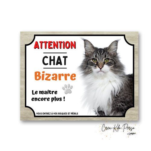 Plaque humoristique en aluminium avec chat Maine Coon tigré et blanc et texte Attention Chat Bizarre